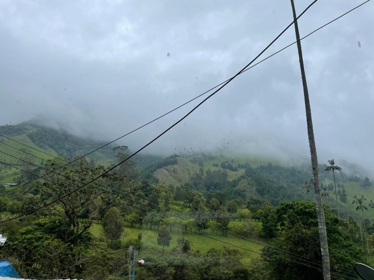 Cabanas Valle Del Cocora La Truchera Salento Eksteriør billede