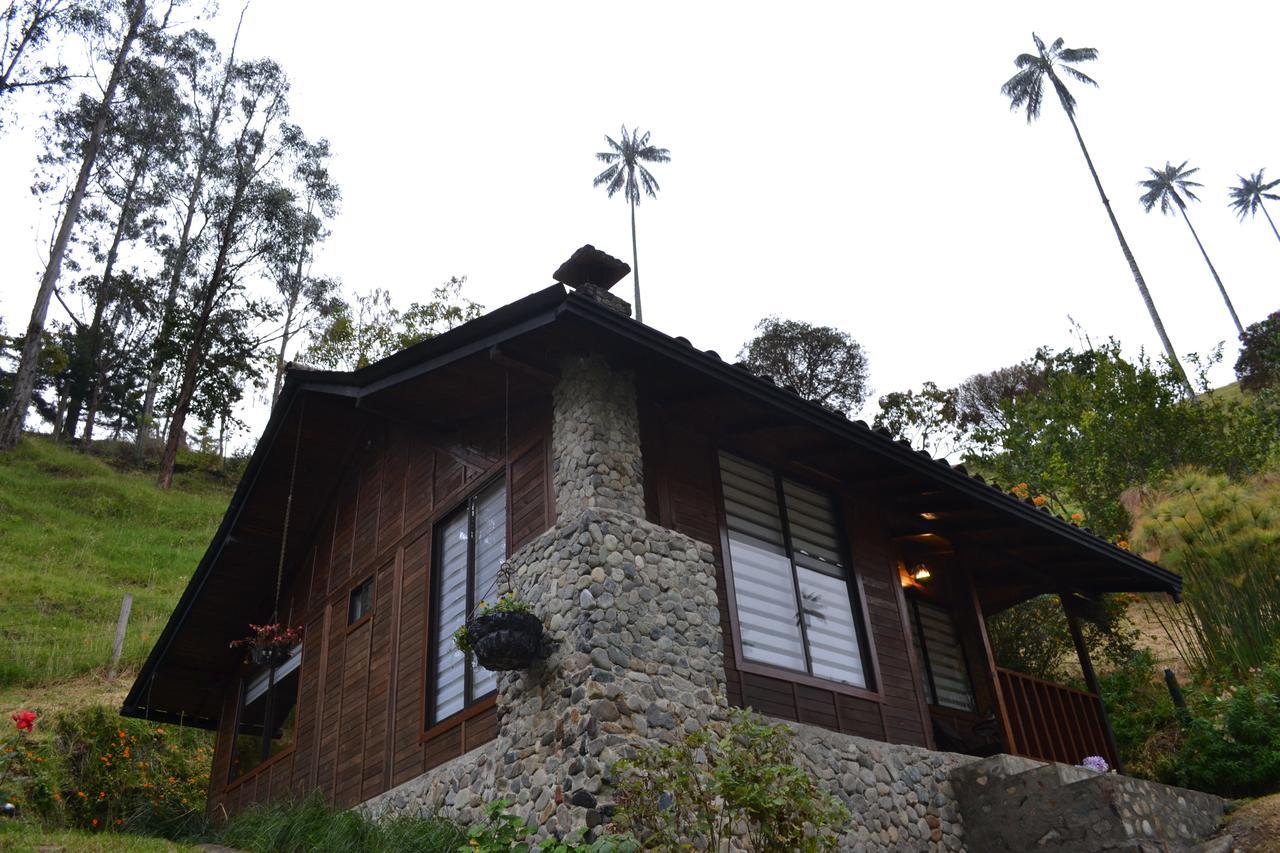 Cabanas Valle Del Cocora La Truchera Salento Eksteriør billede