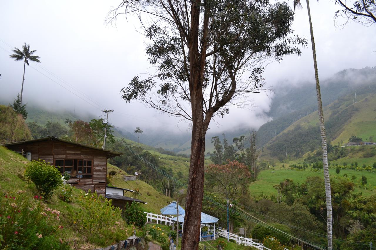 Cabanas Valle Del Cocora La Truchera Salento Eksteriør billede