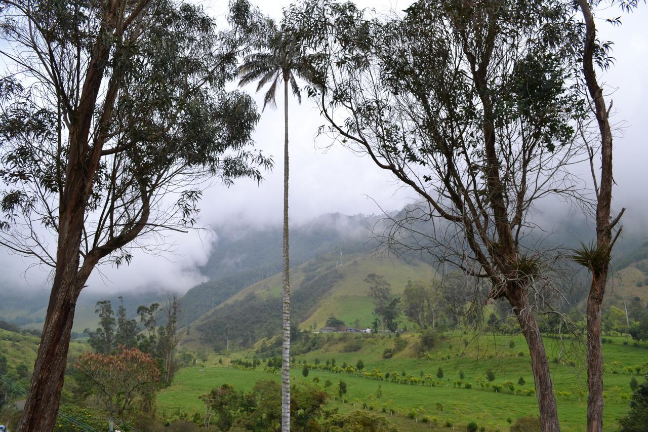 Cabanas Valle Del Cocora La Truchera Salento Eksteriør billede
