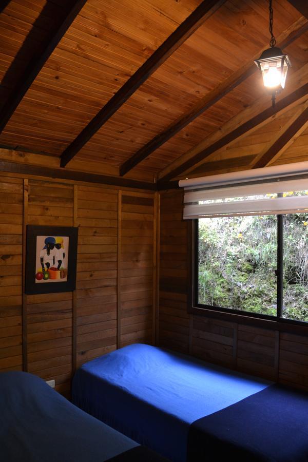 Cabanas Valle Del Cocora La Truchera Salento Eksteriør billede