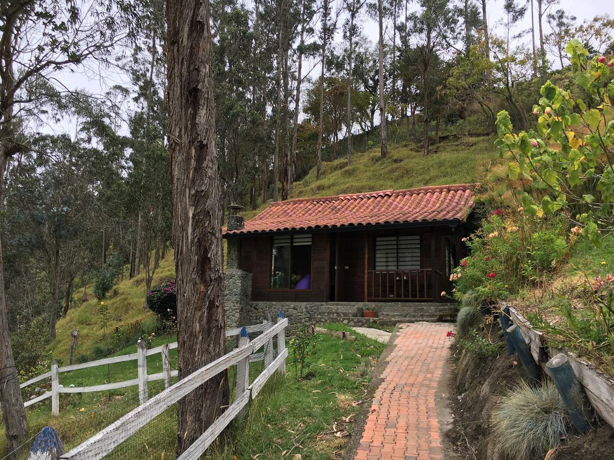 Cabanas Valle Del Cocora La Truchera Salento Eksteriør billede
