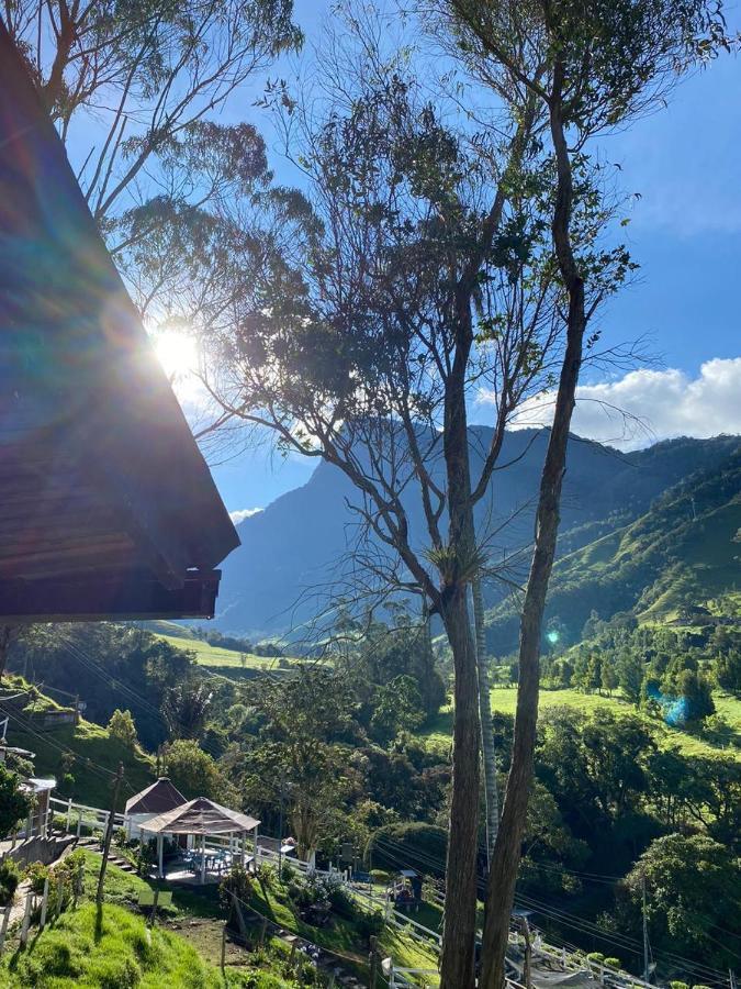 Cabanas Valle Del Cocora La Truchera Salento Eksteriør billede