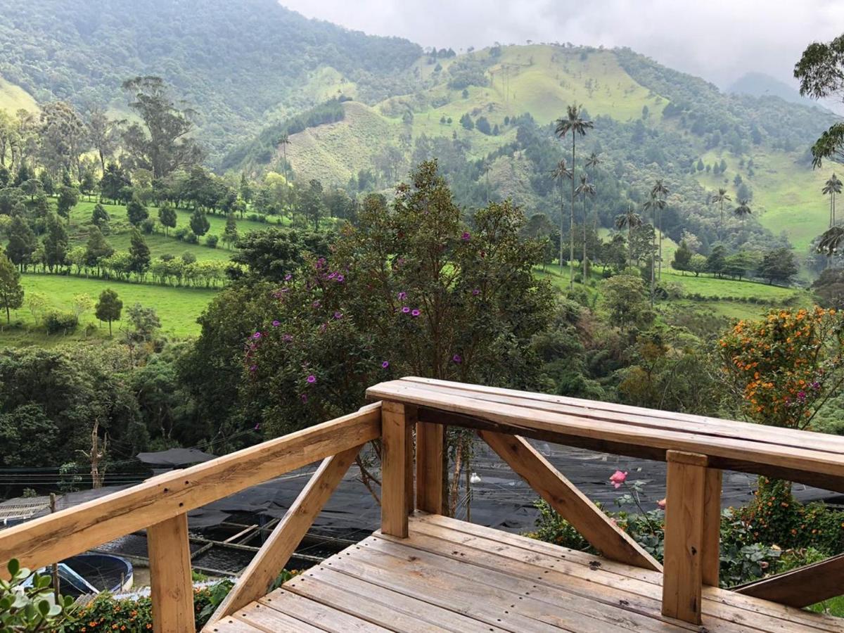 Cabanas Valle Del Cocora La Truchera Salento Eksteriør billede