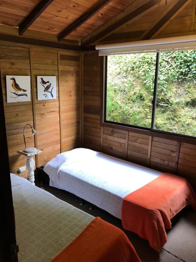 Cabanas Valle Del Cocora La Truchera Salento Eksteriør billede