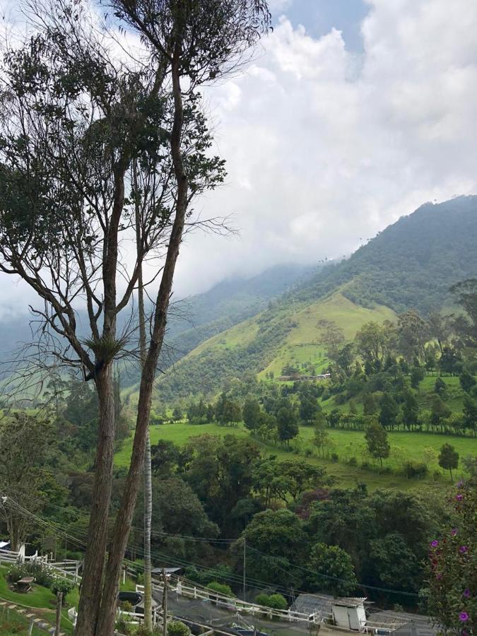 Cabanas Valle Del Cocora La Truchera Salento Eksteriør billede